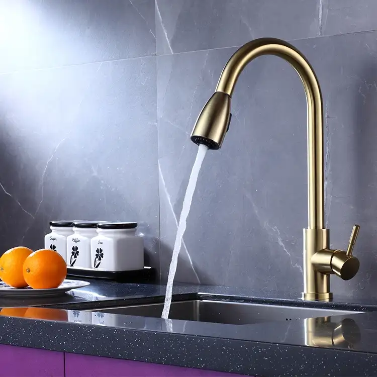 Stainless Steel Pull Down Kitchen Faucet With Sprayer